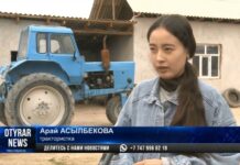 18-леняя трактористка стала знаменитостью в Жетысае