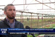 В Туркестанской области сфера сельского хозяйства развивается планомерно