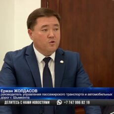 Качество дорог в Шымкенте контролируют партийцы