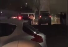 Похищение, которого не было: Подробности