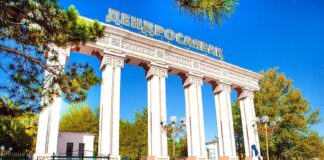 144 вида новых интродуцентов появятся в дендропарке Шымкента Шымкентский дендропарк