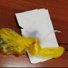 Марихуану и “синтетику” обнаружили в доме жителя Тюлькубасского района наркотики
