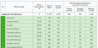 Шымкент получил «Золотую кнопку» системы Kundelik.kz Kundelik.kz