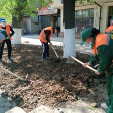 На главных улицах Шымкента высадили 18 тысяч саженцев цветов посадка цветов