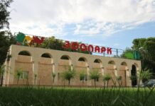 Шымкентский зоопарк празднует 44-летие зоопарк