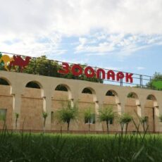 Шымкентский зоопарк празднует 44-летие зоопарк