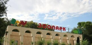 Реконструкцию шымкентского зоопарка завершат в 2023 году зоопарк