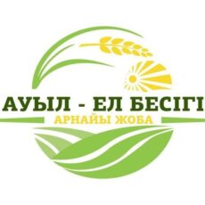 Проект «Ауыл – ел бесігі» улучшит качество жизни 614 аулов качество