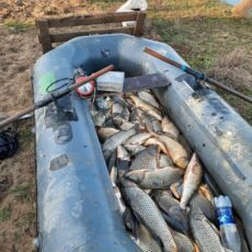 Браконьеров с 90 килограммами рыбы задержали на Шардаринском водохранилище