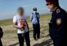 За срыв краснокнижных тюльпанов задержан житель Шымкента тюльпаны