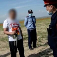 За срыв краснокнижных тюльпанов задержан житель Шымкента тюльпаны