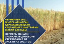 До 15 апреля аграрии могут застраховать посевы от недостатка влаги в режиме онлайн Страхование посевов от засухи