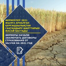 До 15 апреля аграрии могут застраховать посевы от недостатка влаги в режиме онлайн Страхование посевов от засухи