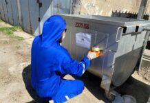 В Шымкенте объявили войну крысам и мышам крыса