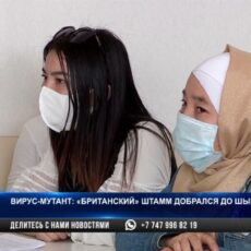 «Британский штамм» добрался до Шымкента?