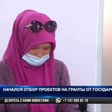 Начался отбор проектов на гранты от государства