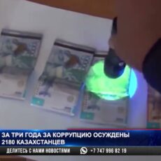 На сообщениях о взятках казахстанцы заработали свыше 10 с половиной миллионов тенге