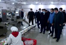 Аким Шымкента посетил предприятия индустриальной зоны «Тассай»