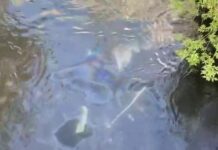 Слившего солярку в Карасу накажут