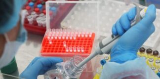 С начала года в Шымкенте зарегистрировано 1440 случаев COVID-19 коронавирус