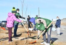 1000 деревьев посажено в микрорайоне Шымсити посадка