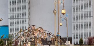 В Туркестане зацвела сакура