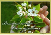 Великий пост – душевная причина похудеть пост