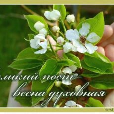 Великий пост – душевная причина похудеть пост