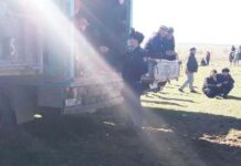 Проведение пятого кокпара с начала года пресекли в Толебийском районе кокпар