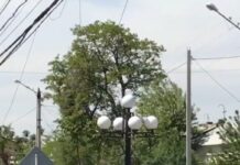 Мужчину с кухонным ножом в руках задержали в Туркестане нож