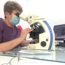 В стране обеспечен полный доступ к современной онкологической помощи онкология