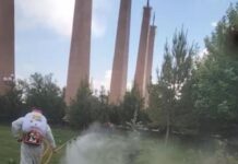 В Шымкенте проводится широкомасштабная дезинсекционная работа против комаров дезинсекционная работа против комаров