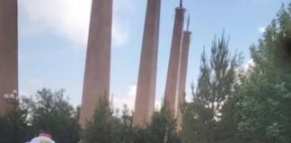 В Шымкенте проводится широкомасштабная дезинсекционная работа против комаров дезинсекционная работа против комаров