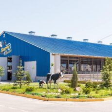 В Ордабасинском районе освоили более 7,5 млрд тенге инвестиций ферма