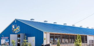 В Ордабасинском районе освоили более 7,5 млрд тенге инвестиций ферма