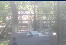 В Шымкенте 17-летний парень сорвался с аттракциона и погиб