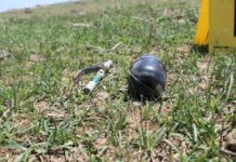 В Шымкенте пастух нашел в поле гранату граната