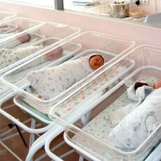 182 малыша родились в День защитника Отечества в Туркестанской области дети