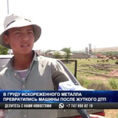 Трое детей в тяжелом состоянии после аварии на Ленгерской трассе