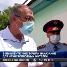 В Шымкенте ужесточили наказание для нечистоплотных жителей