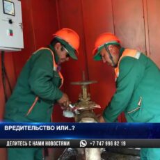 Систему полива в Шымкенте намеренно вывели из строя?