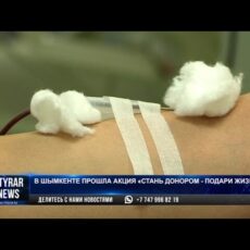 Шымкентская молодежь сегодня стала «братьями по крови»