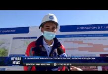 В Шымкенте началось строительство нового ипподрома