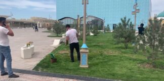 Газон в Туркестане не красили, а …. минерализировали