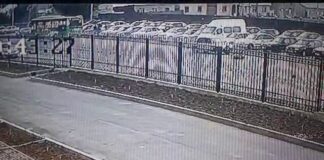 Девушку на полной скорости снесла легковушка в Шымкенте