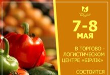 В Шымкенте пройдет ярмарка сельхозпродукции ярмарка