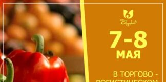 В Шымкенте пройдет ярмарка сельхозпродукции ярмарка