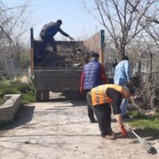 В Аль-Фарабийском районе провели уборку на кладбищах погост