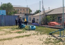 Лабрадоры в Шымкенте прошли проверку собака