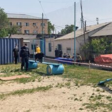 Лабрадоры в Шымкенте прошли проверку собака